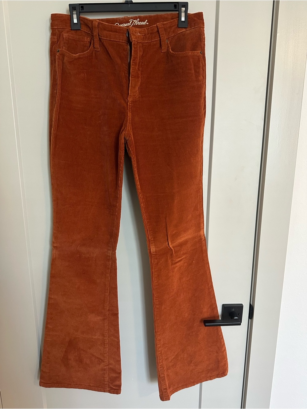 Universal Thread Corduroy Pants in Rust